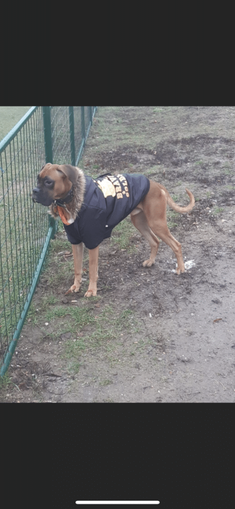 Aido - Oblečenie pre psov - Psishop.sk