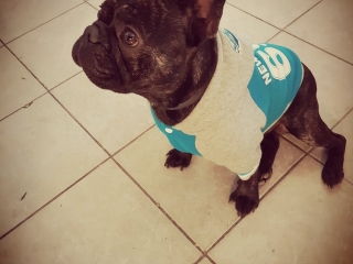 Charlie