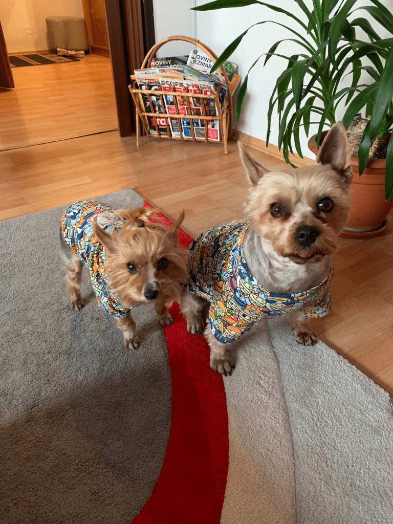Danny a Fluffy 1 - Oblečenie pre psov - Psishop.sk