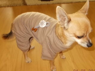 Miňko