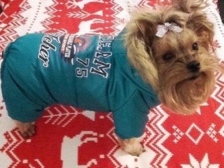 Nelly2