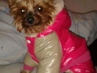 Princi