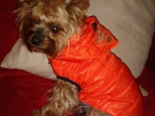 Princi2