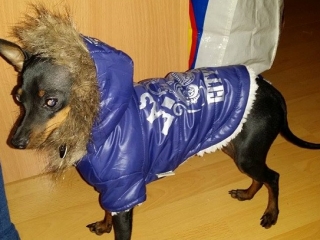 Rony (2)