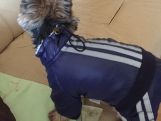 Rony (3)