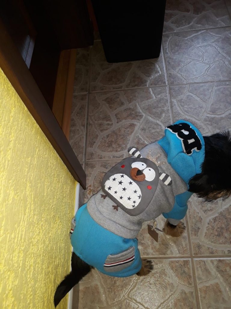 Zákazník 3 - Oblečenie pre psov - Psishop.sk