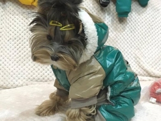 tekla (2)