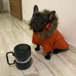 thumbnail_IMG_0446