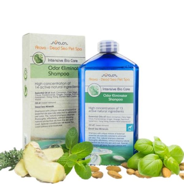 Arava Bylinný šampón na potlačenie zápachu (400 ml)