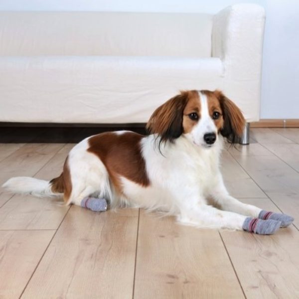 Protišmykové ponožky pre psov - sivé - L
