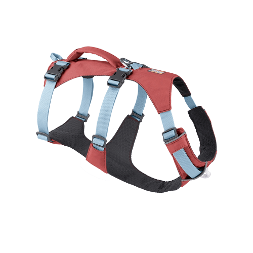 30551 flagline harness salmon pink 4 - Oblečenie pre psov - Psishop.sk