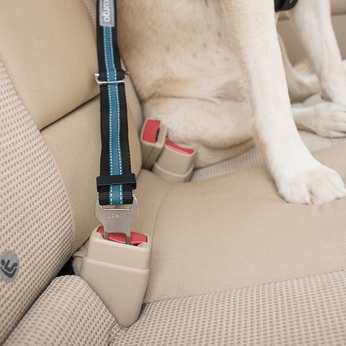 kurgo bezpe nostn autop s pre psa s up nac m mechanizmom direct to seatbelt tether coastal blue 2 - Oblečenie pre psov - Psishop.sk
