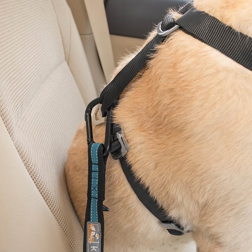 kurgo bezpe nostn autop s pre psa s up nac m mechanizmom direct to seatbelt tether coastal blue 3 - Oblečenie pre psov - Psishop.sk