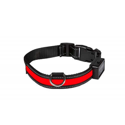 light collar red 1 - Oblečenie pre psov - Psishop.sk