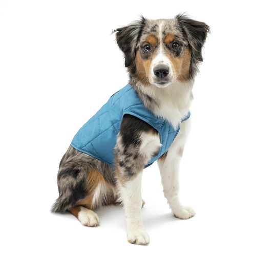 loft jacket blue s pd in use gypsy 01 2 1 - Oblečenie pre psov - Psishop.sk