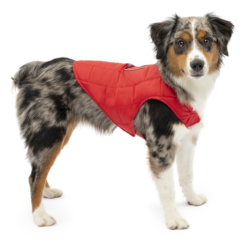 loft jacket chili red s pd in use gypsy 01 1 - Oblečenie pre psov - Psishop.sk
