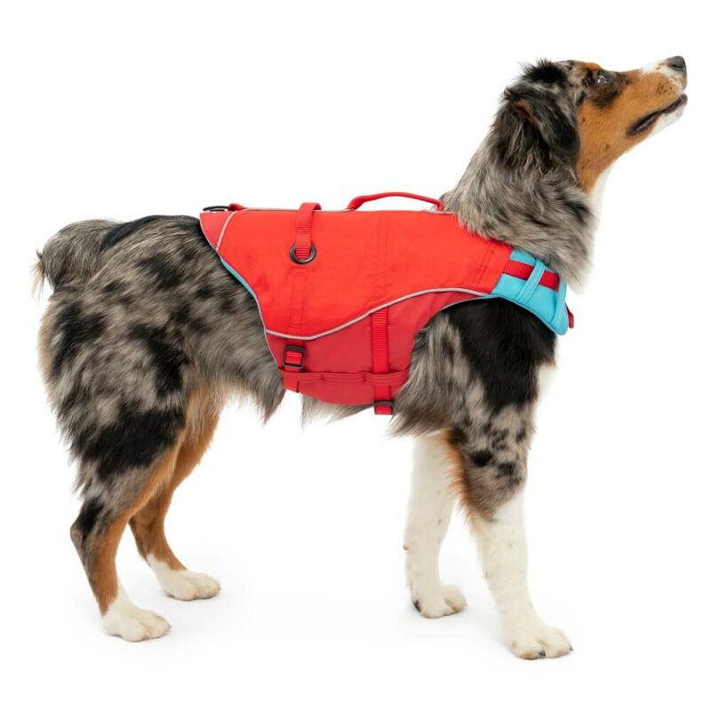 surf n turf life jacket red pd in use - Oblečenie pre psov - Psishop.sk
