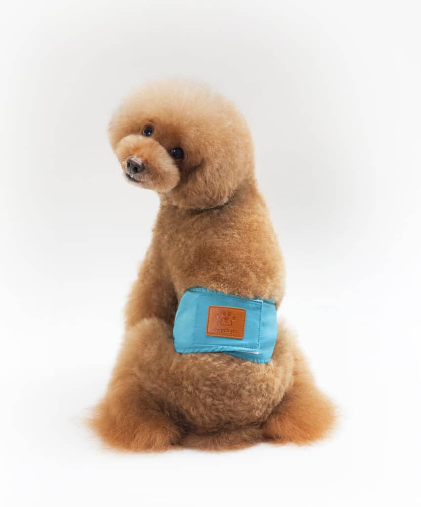 Nohavice pre psov STYLE zelené