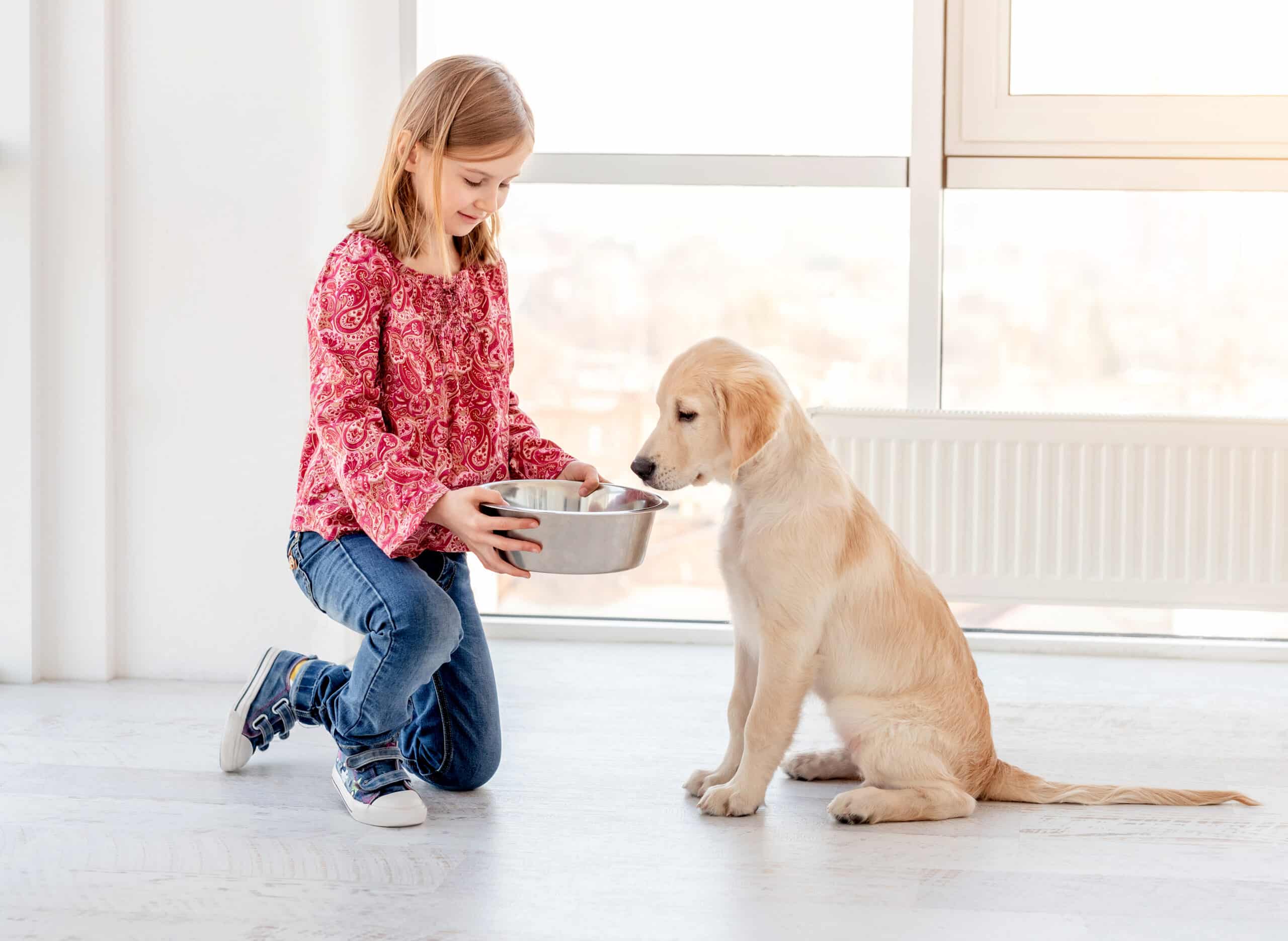 girl giving food to dog 2023 11 27 05 09 23 utc scaled - Oblečenie pre psov - Psishop.sk